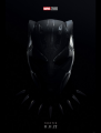 Black Panther Wakanda Forever (2022)